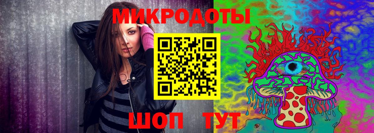 Псилоцибиновые грибы Psilocybe Тихвин